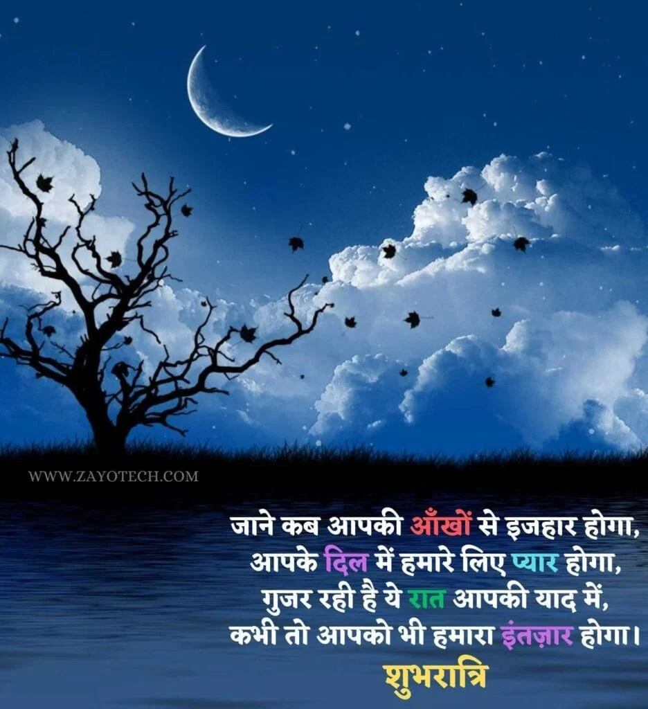 2 line good Night Shayari
