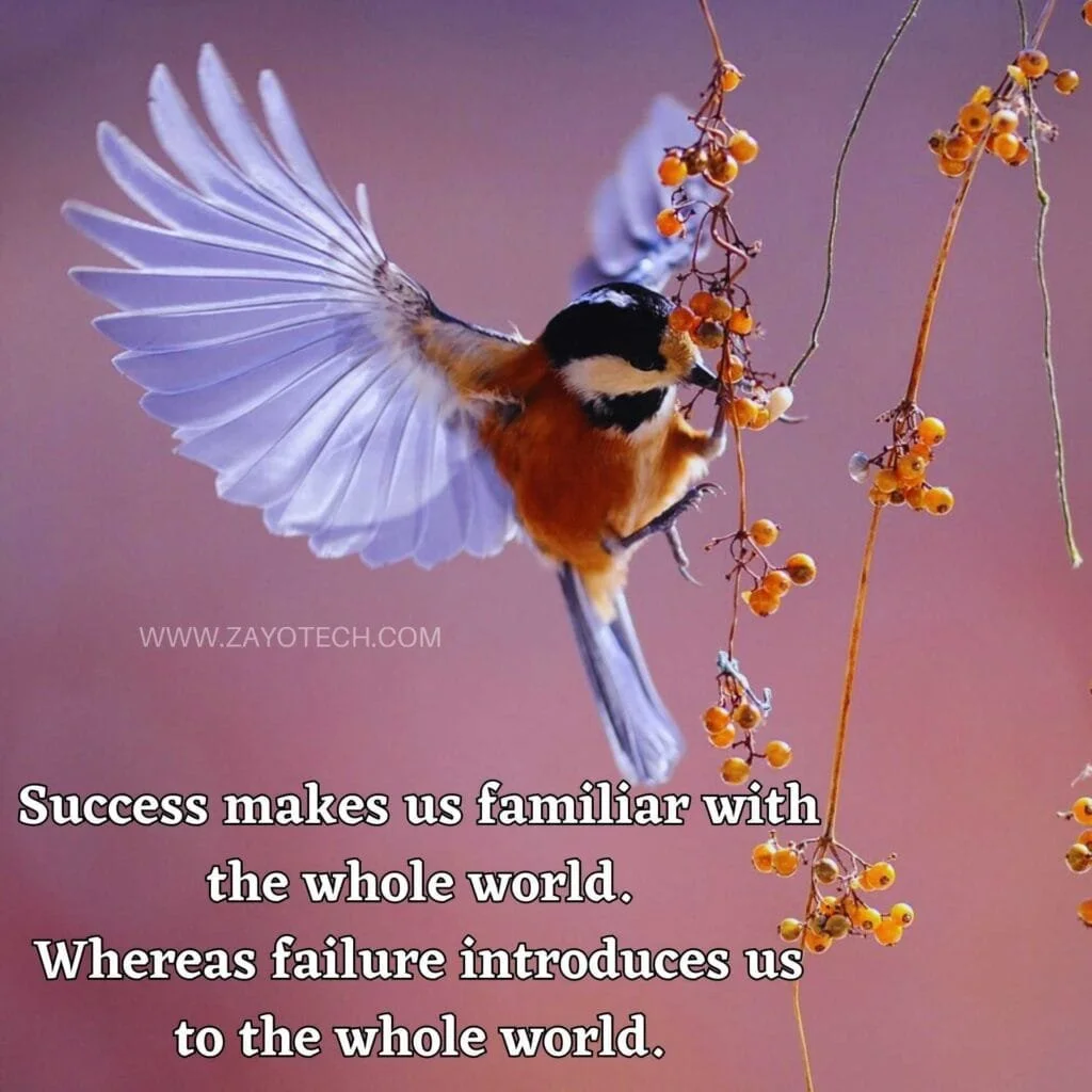 Positive Quotes