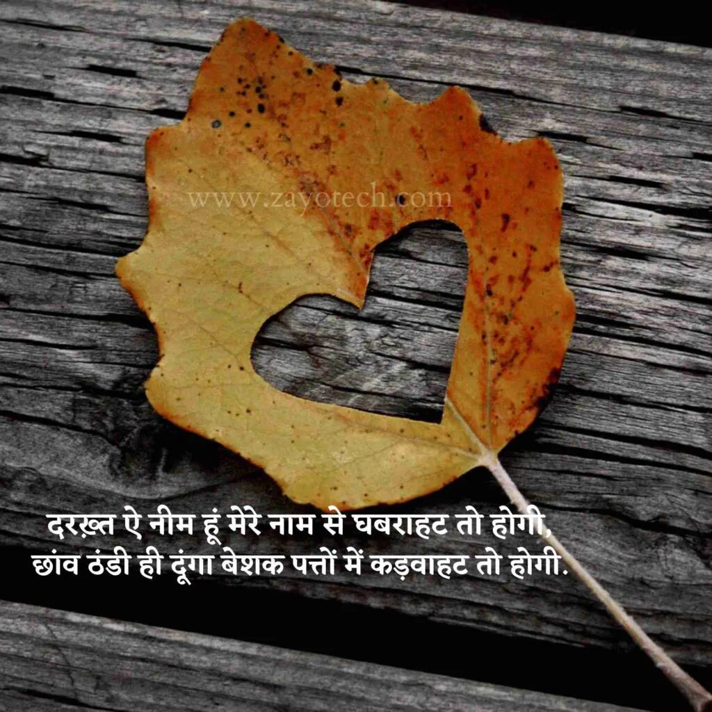 Best Two Line Shayari (दो लाइन शायरी)