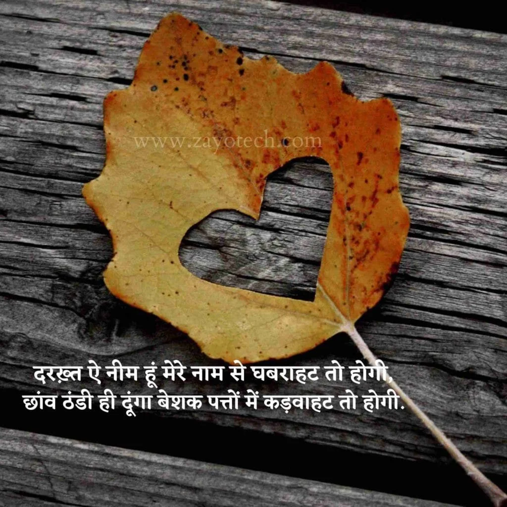 Best Two Line Shayari (दो लाइन शायरी)