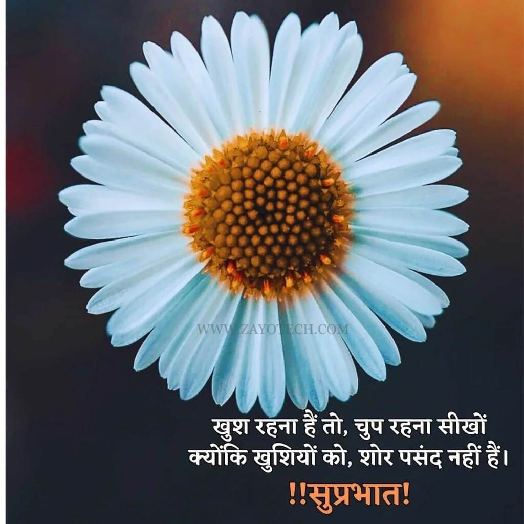 Top Good Morning Quotes In  Hindi