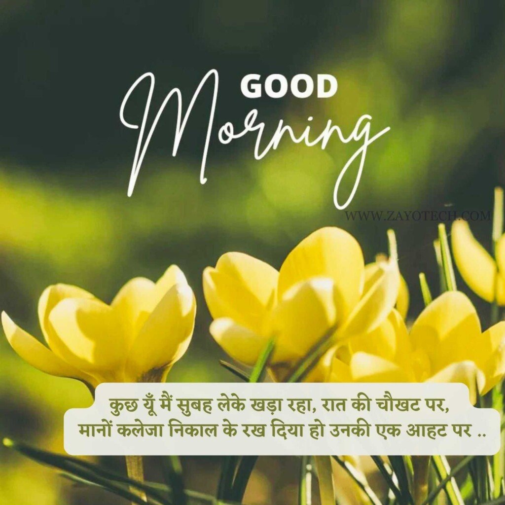 New Best Good Morning Quotes in Hindi 2024