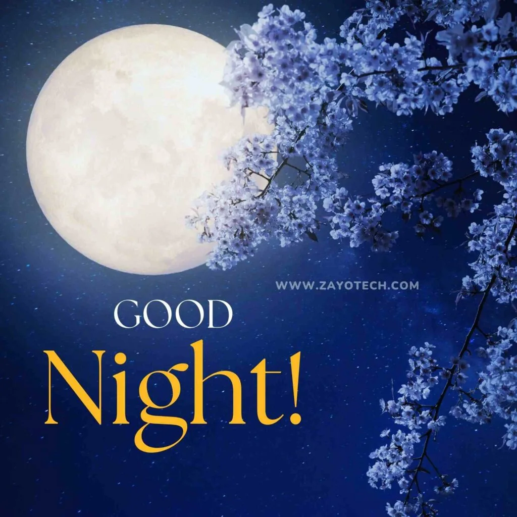 Top Good Night Wishes Card