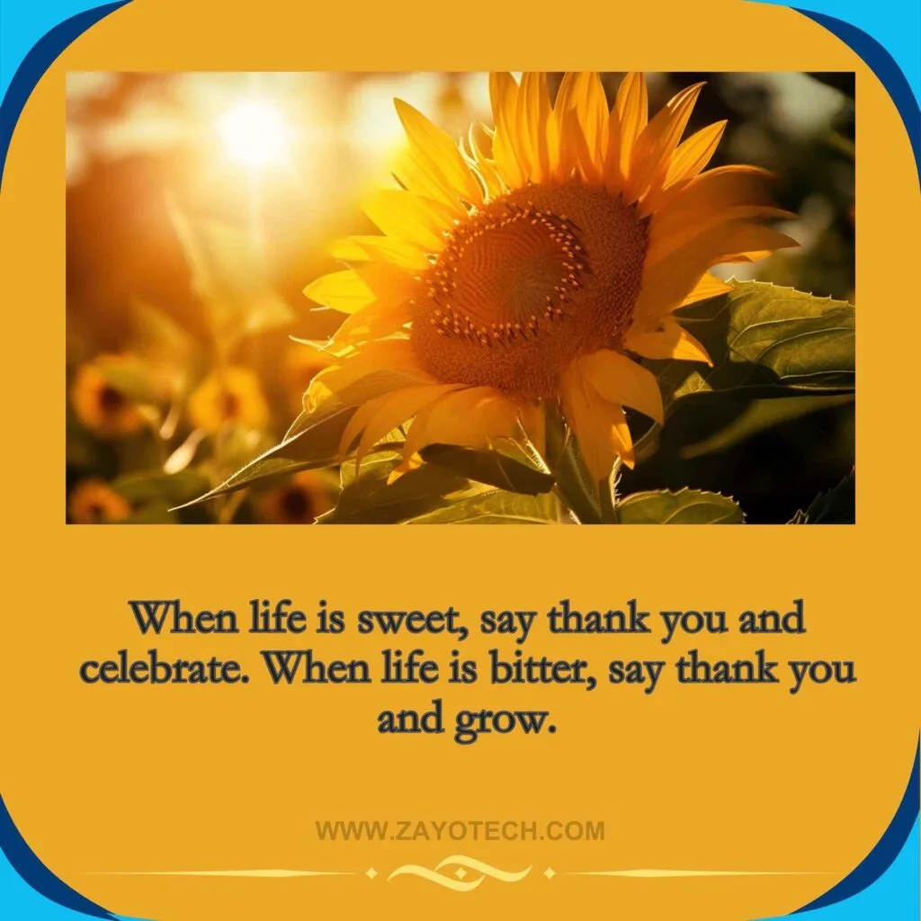 Life Quotes In English