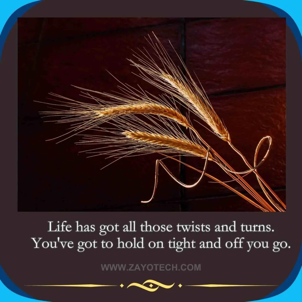 Best Short Life Quotes