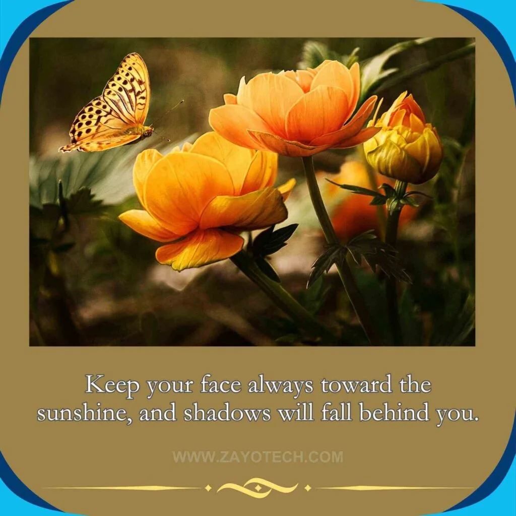 Best Short Life Quotes