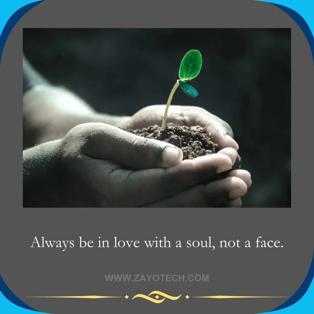 Best Short Life Quotes