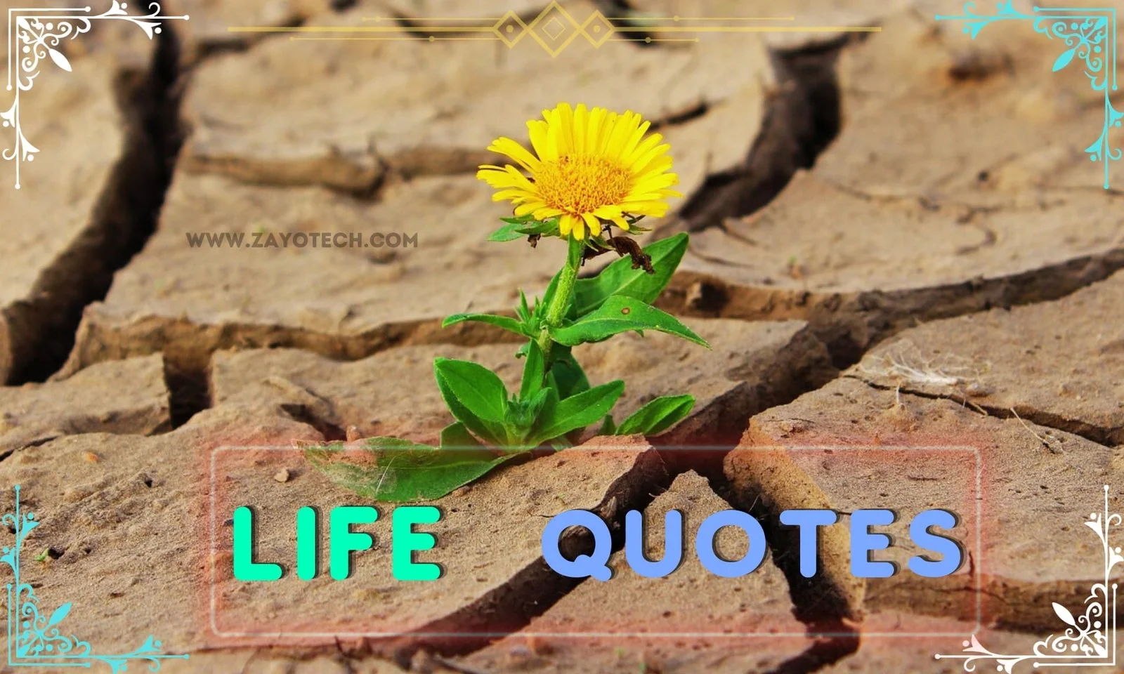 Life Quotes