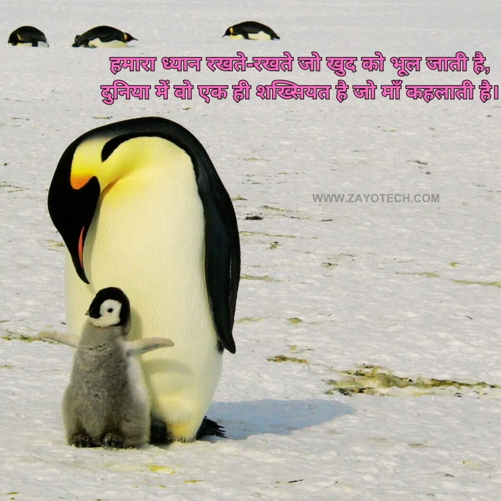 Best Maa Shayari Images