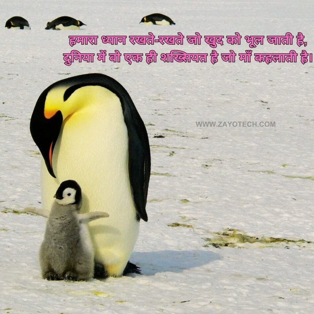 Best Maa Shayari Images