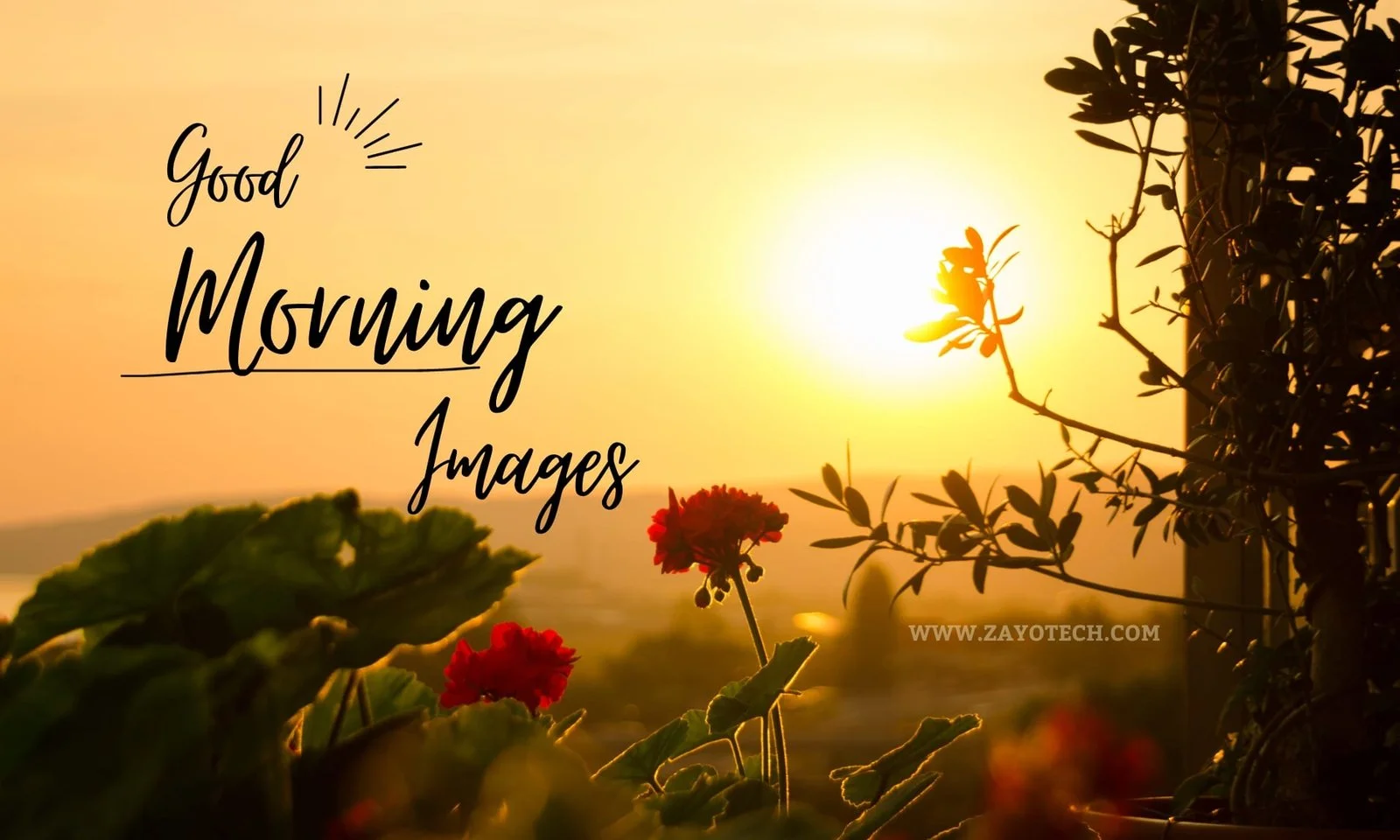 Today Special Good Morning Images