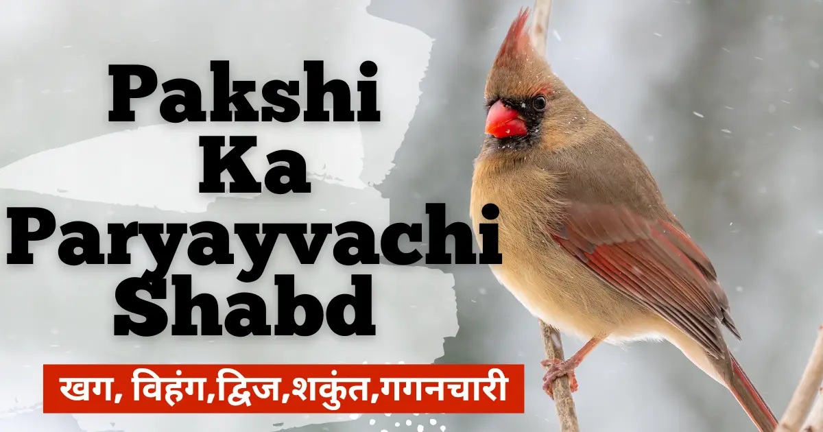 Pakshi Ka Paryayvachi Shabd – पक्षी के पर्यायवाची शब्दों की सूची और उनके प्रयोग