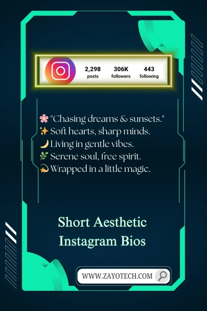 Vintage aesthetic Instagram bio idea