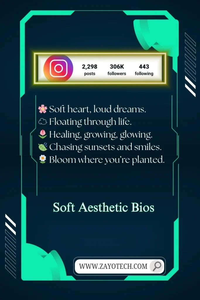 Cute aesthetic Instagram bio for girls